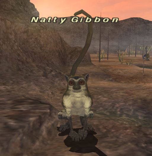 Natty Gibbon