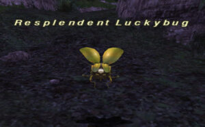 Luckybug