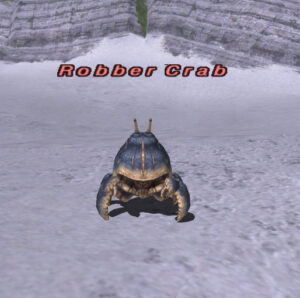 Robber Crab