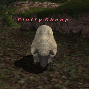 Sheep